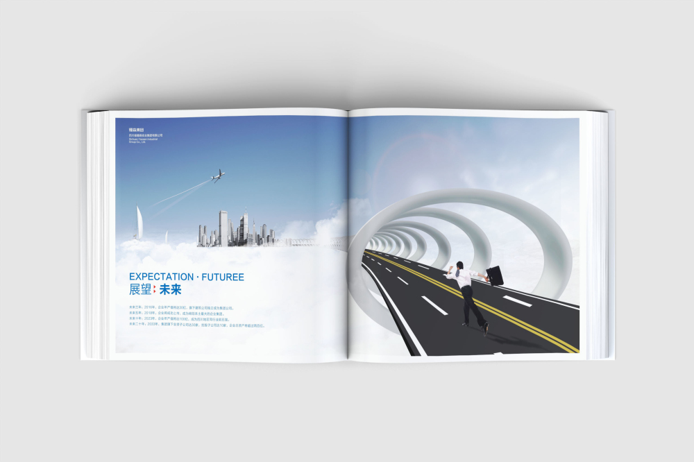 新泰市画册设计